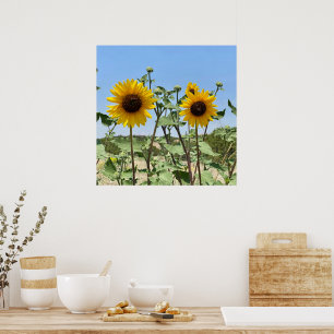 Poster Dois Céu Azul Sol