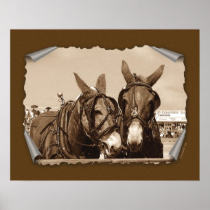 Pôster Dois de um tipo