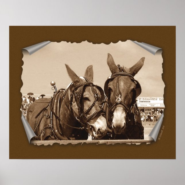 Pôster Dois de um tipo (Frente)