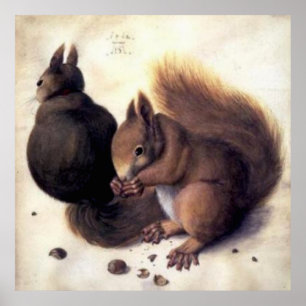 Pôster "Dois esquilos" por Albrecht Dürer