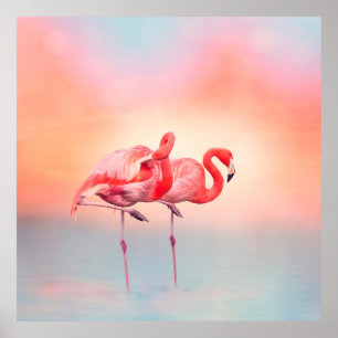 Poster Dois flamingos cor-de-rosa na água do sunsetflamin