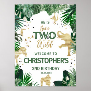 Poster Dois garotos selvagens da selva Festa de 2º aniver