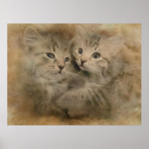 Poster Dois Gatinhos De Cinza Cortada Em Aquarela