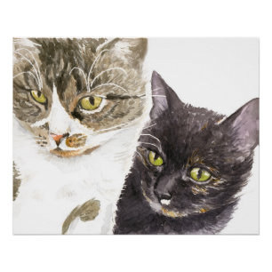 Pôster Dois gatos - tabby e tortie
