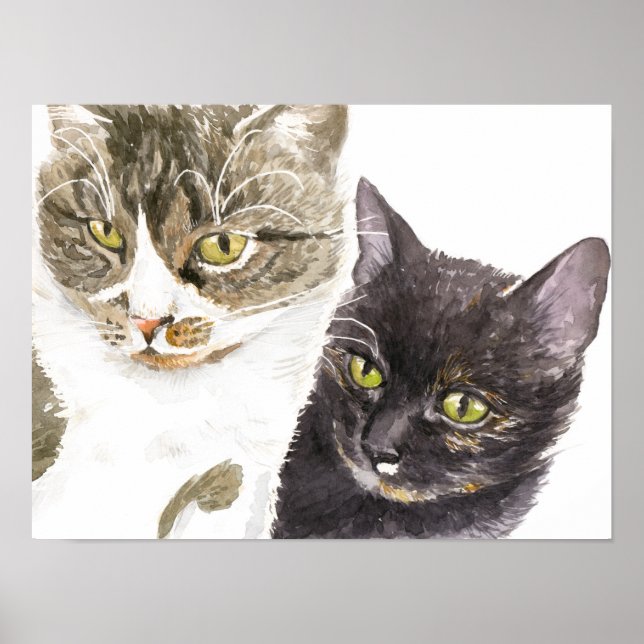 Poster Dois gatos - tabby e tortie (Frente)