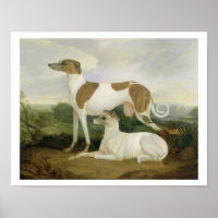 Dois Greyhounds em uma paisagem (óleo na canvas)