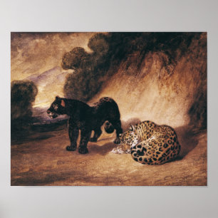 Poster Dois jaguares de Peru