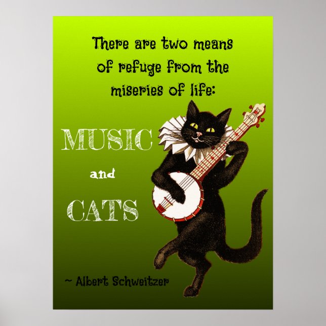 Poster Dois Meios de Refúgio Música Gatos Schweitzer (Frente)