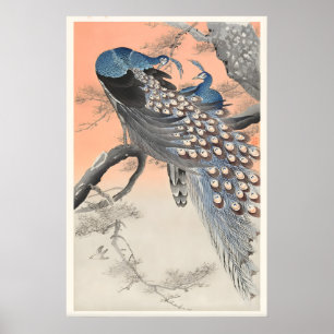 Poster Dois Pavões no Ramo da Árvore Arte Japonesa Fina