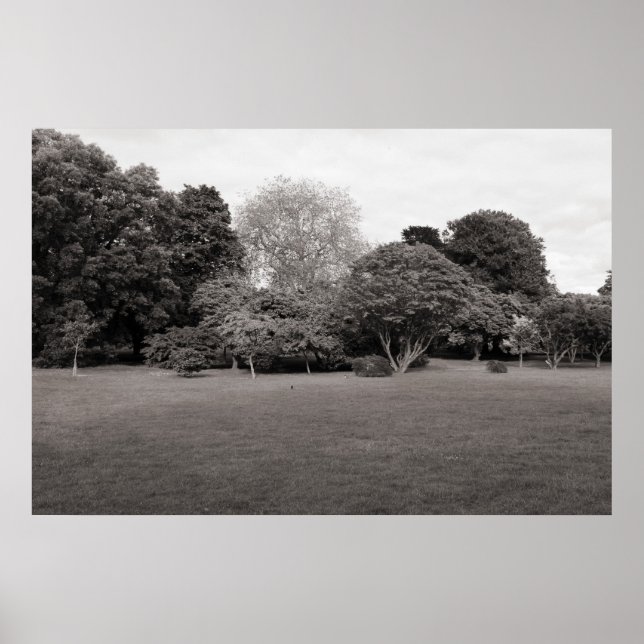 Poster Dois pela alegria (Tonelada Quente) (Frente)