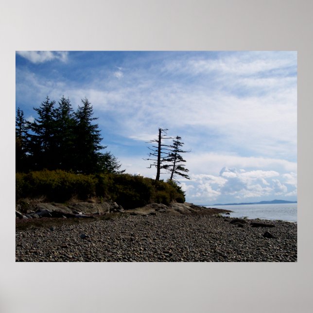 Pôster Dois pontos de árvore (Frente)