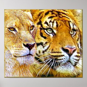 Pôster Dois Poster_focados