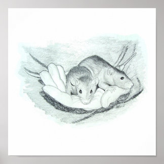 Pôster Dois ratos na mão