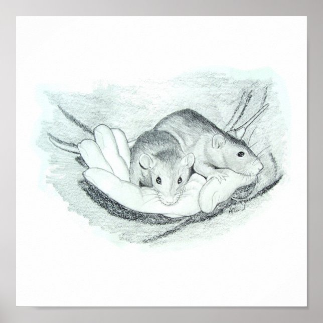 Pôster Dois ratos na mão (Frente)