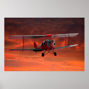 Poster Dois seater Tigermoth