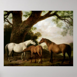 Poster Dois Shafto Mares e um Foal, 1774