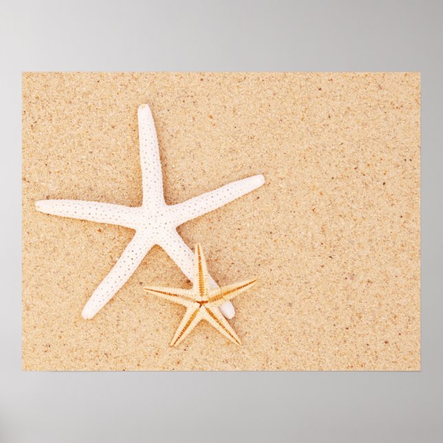 Poster Dois Starfish Simples (Frente)