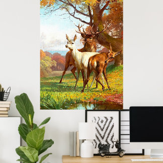 Poster Dois Veados Vermelhos e Brancos na Floresta