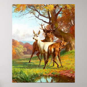 Poster Dois Veados Vermelhos E Brancos Na Floresta