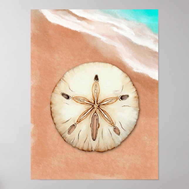 Poster Dólar de areia de aquarela na praia (Frente)