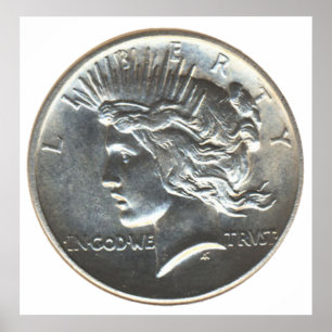 Poster Dólar libertário