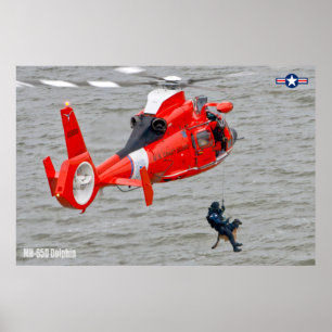 POSTER DOLFIM MH-65D