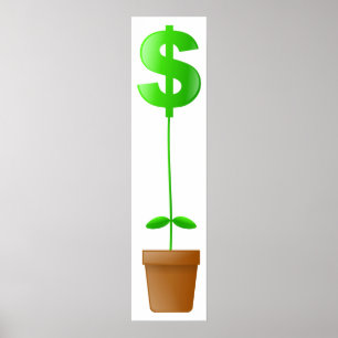 Poster Dollar Plant