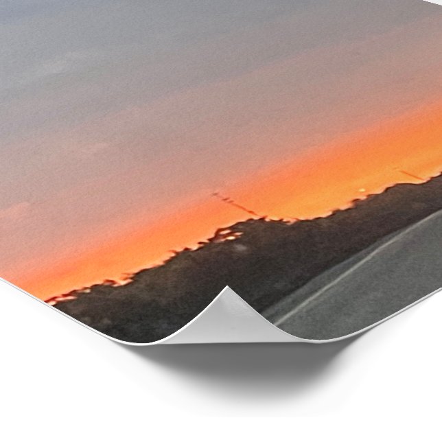 POSTER DOLPHIN (Borda)