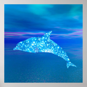 Pôster Dolphin Star