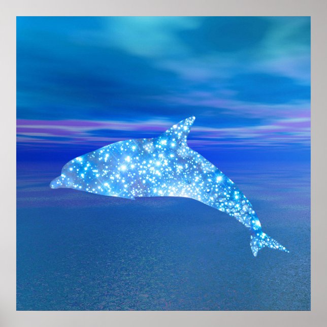Pôster Dolphin Star (Frente)