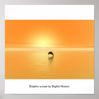 Poster Dolphin sunset