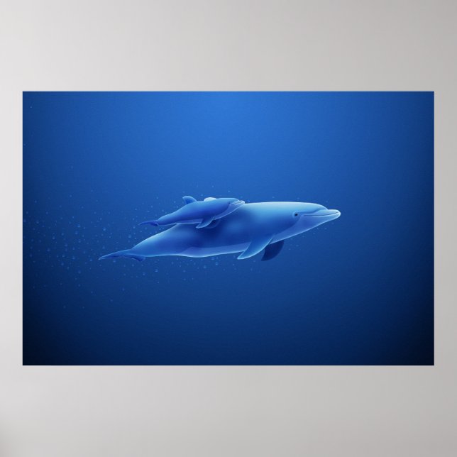 Pôster Dolphins (Frente)