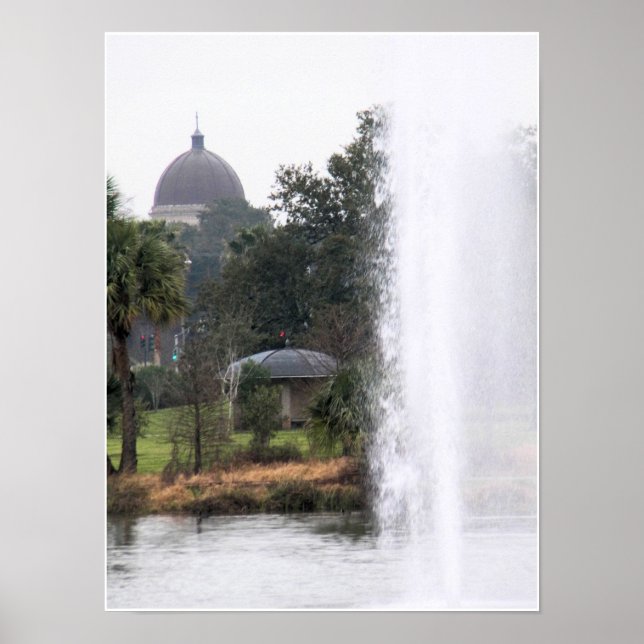 Poster Domes No Parque (Frente)