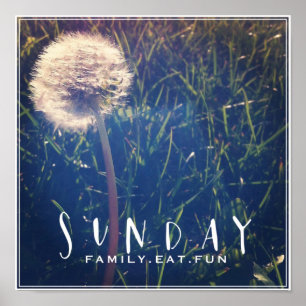 Pôster Domingo Família coma diversão