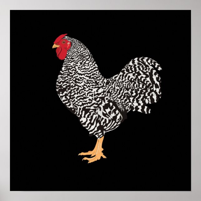 Poster Dominique Rooster (Frente)