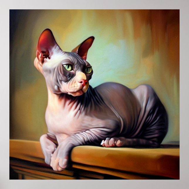 Poster Don Sphynx Cat (Frente)