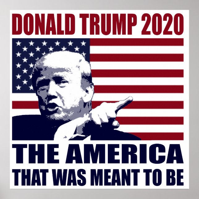 Poster Donald Trump 2020 Para A Eleição Do Presidente 202 (Frente)