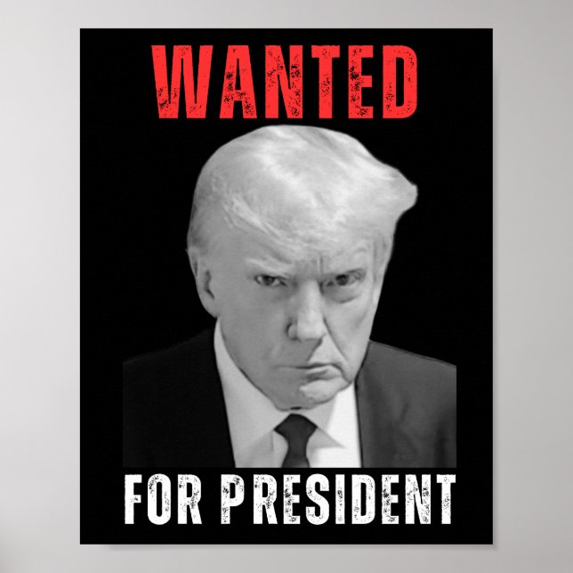 Poster Donald Trump 2024 Queria O Presidente (Frente)
