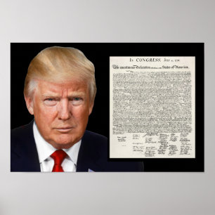 Poster Donald Trump & a declaração de independência