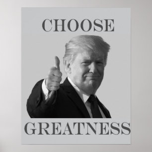 Poster Donald Trump escolhe a grandeza