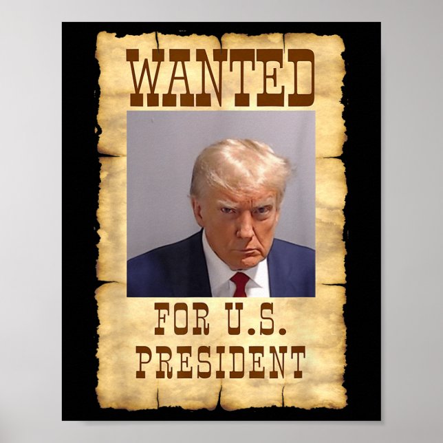 Poster Donald Trump Mug Queria Nos Eua. Presidente 20 (Frente)
