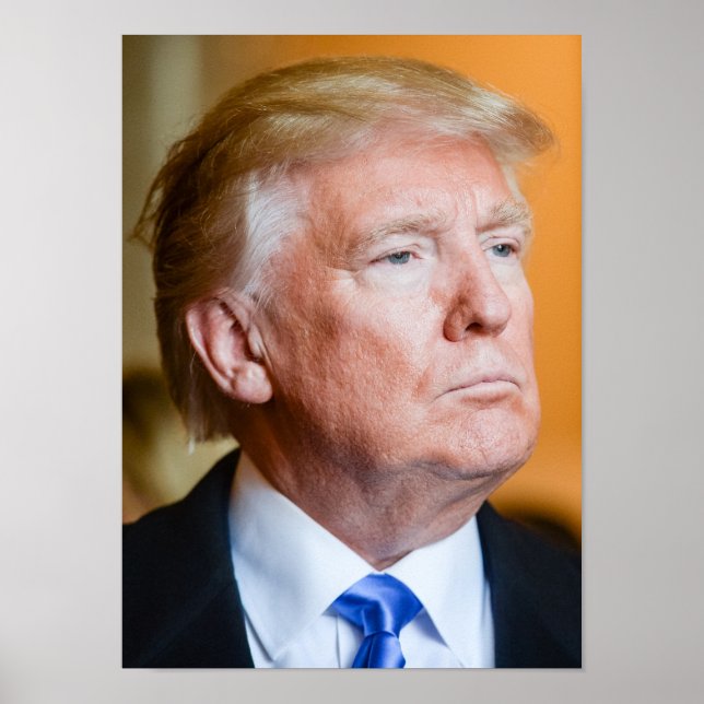 Poster Donald Trump Portrait (Frente)