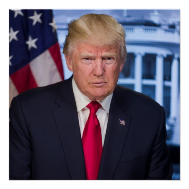 Pôster Donald Trump Retrato Presidencial Oficial (Frente)