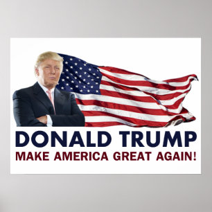 Pôster Donald Trump US Flag