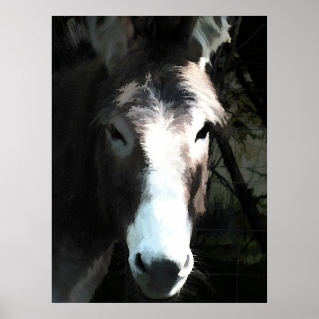POSTER DONKEY (Frente)