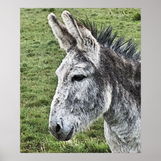 POSTER DONKEY (Frente)