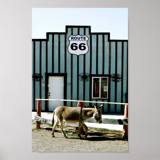 Poster Donkey Town Oatman Arizona (Frente)