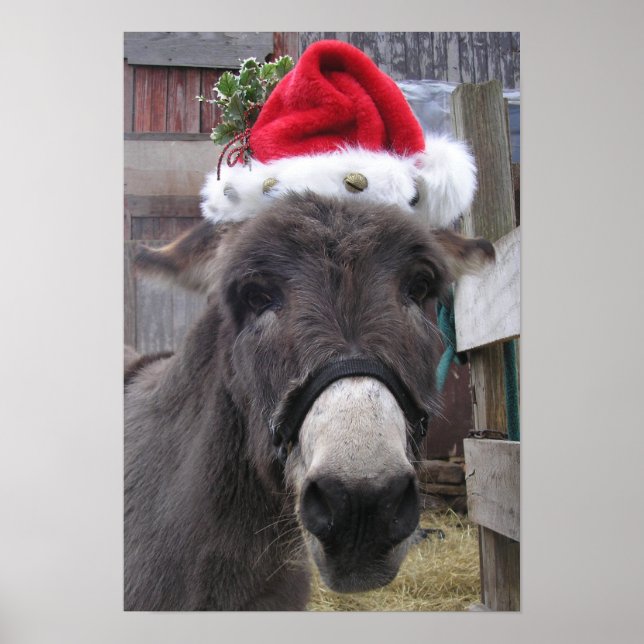 Poster "Donkeys Faz Excelente Santas!" (Frente)