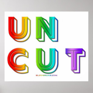 Poster Dons de orgulho gay de palavras não cortadas do S