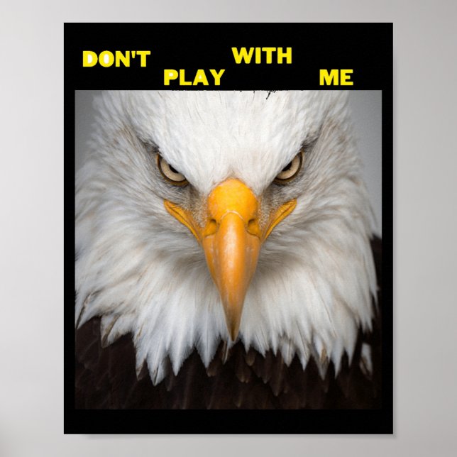 Poster Dont Play With Angry Eagle  (Frente)